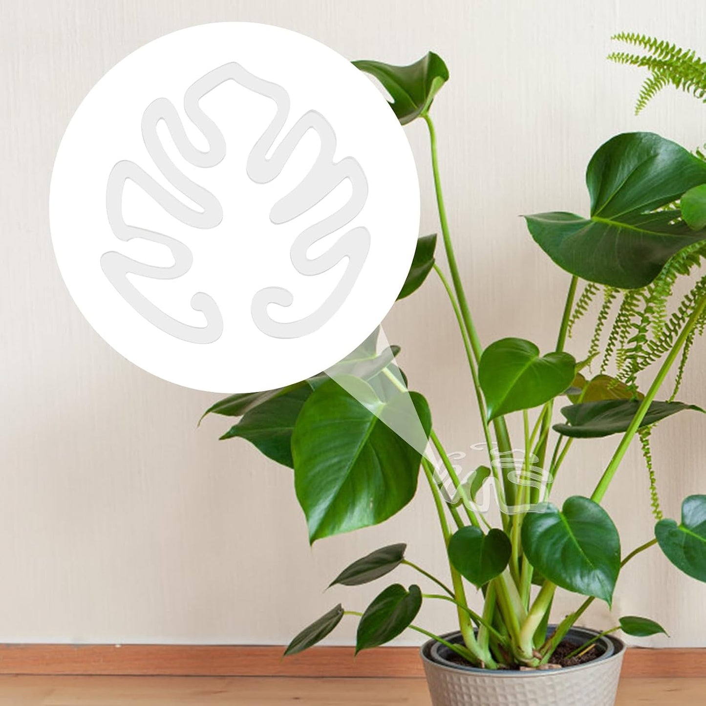 Gennemsigtig plantepind i akryl formet som et Monstera-blad | Usynlig støtte til stængler på indendørs potteplanter